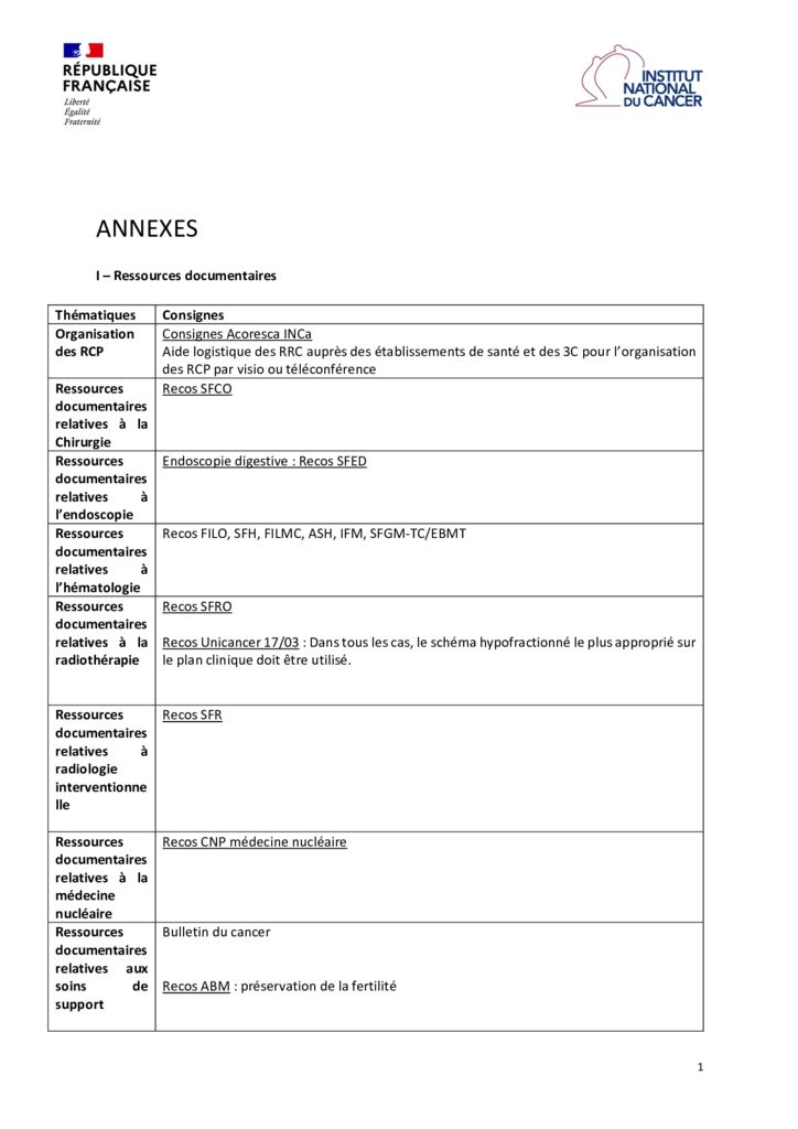 thumbnail of 24-04-Preconisations-INCa-Offre-de-soins-Annexes