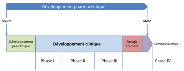 schéma développement pharmaceutique - OncoNormandie Réseau Régional de Cancérologie