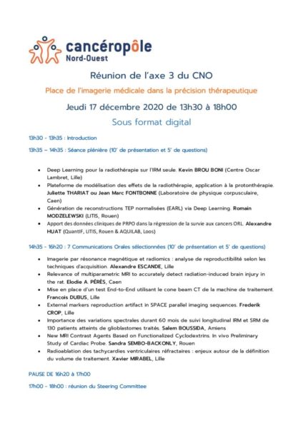 thumbnail of Programme-Axe-3-CNO-17-Decembre-2020